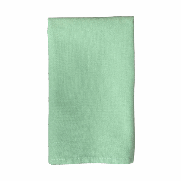 Celadon Poplin Napkin