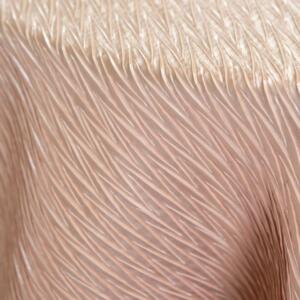 Sparkling Tablecloth: Blush