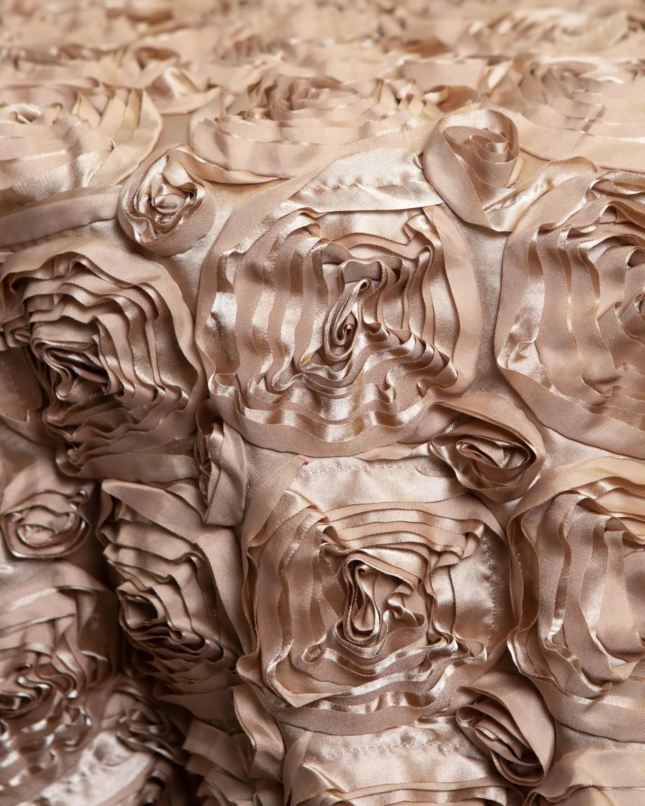 Heirloom Rose Tablecloth: Champagne