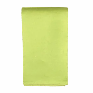 Apple/Lime Green Taffeta Napkin