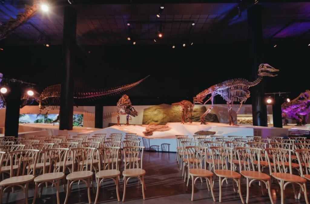 Houston corporate event vendors setting up staged seating and production lighting inside a museum venue