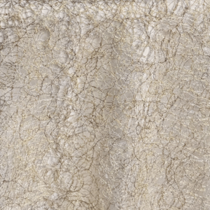 Twilight Overlay: Seashell